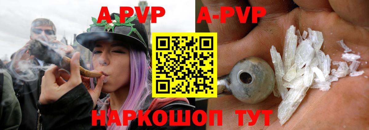 Alfa_PVP СК КРИС Можга