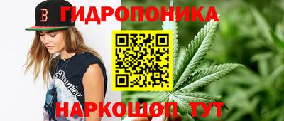 spice Гусь-Хрустальный