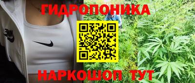 каннабис Гусиноозёрск