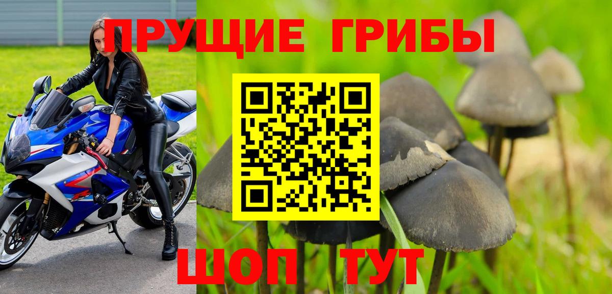Можга  Псилоцибиновые грибы MAGIC MUSHROOMS  Вход с VPN 